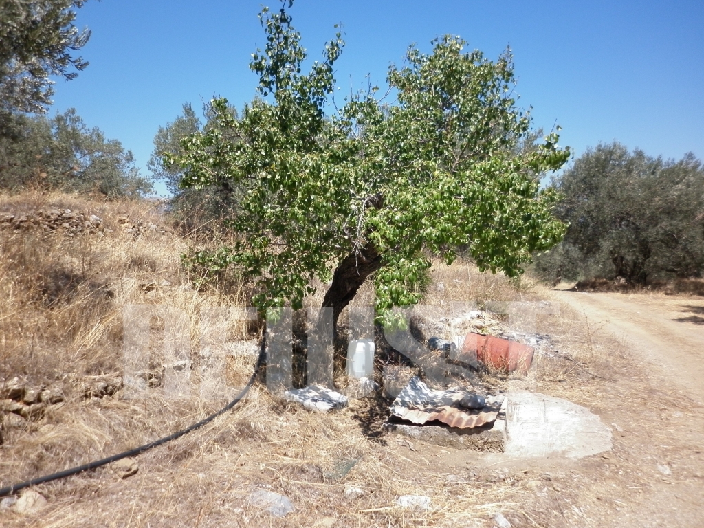 Το Newsit στο δύσβατο σημείο όπου βρέθηκε το πτώμα της 11χρονης