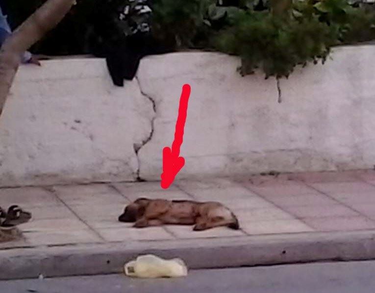 ΦΩΤΟ από flashnews.gr