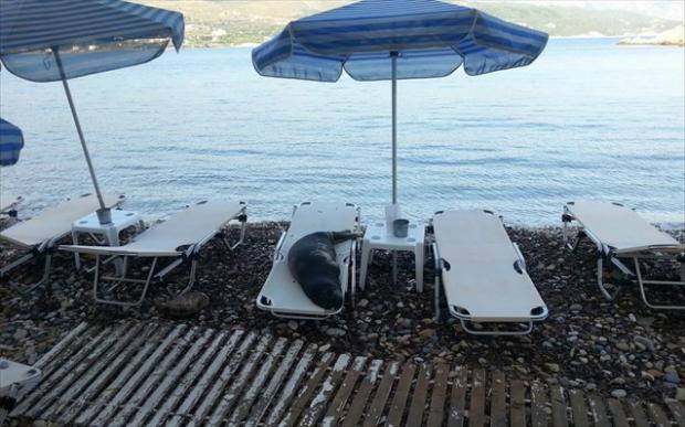 ΦΩΤΟ από naftemporiki.gr