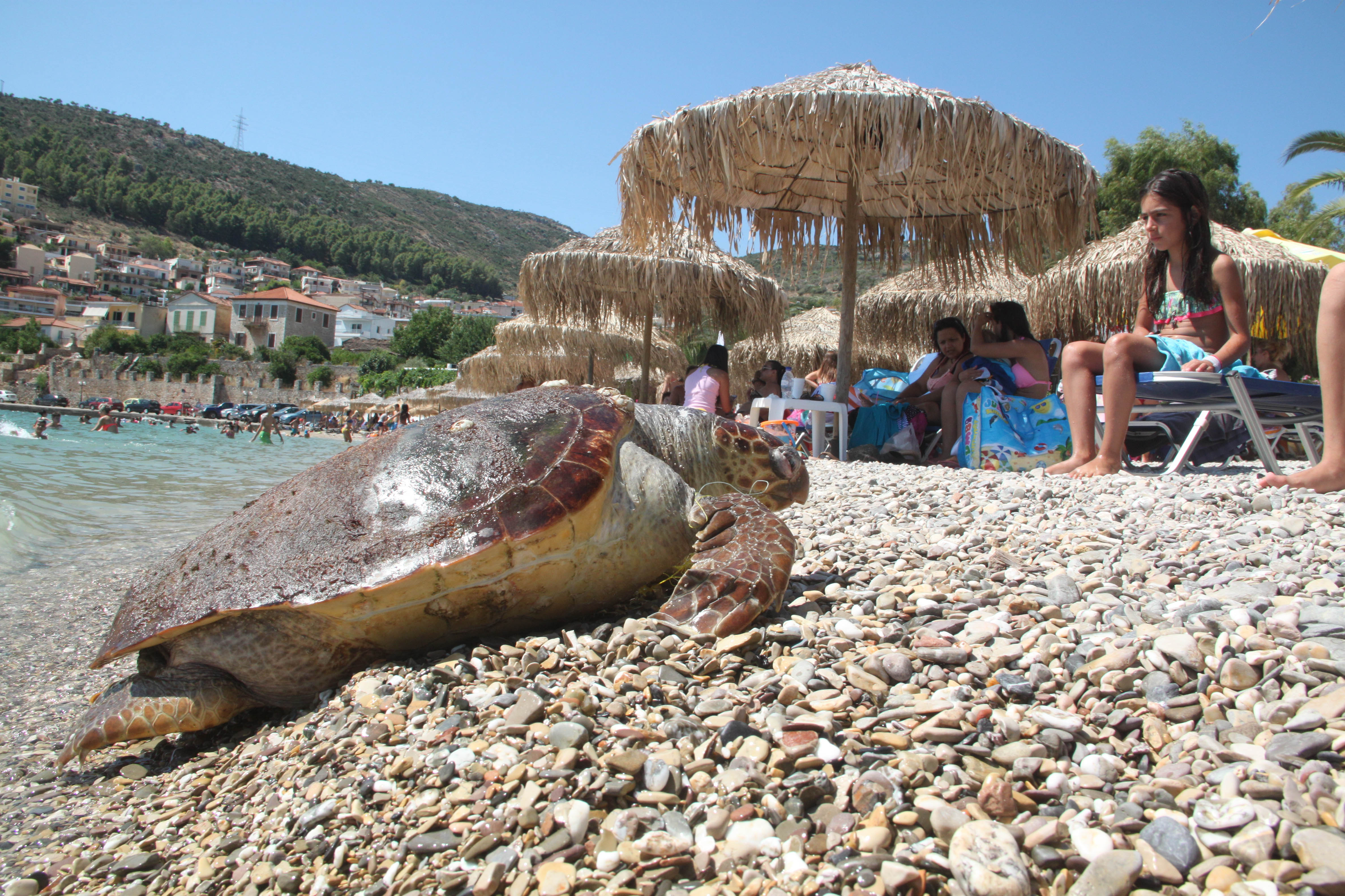 ΦΩΤΟ EUROKINISSI