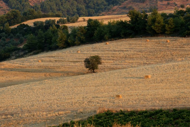 Όποιος πληρώνει… παίρνει – Ρύθμιση του Υπ. Οικονομικών για τις καταπατημένες εκτάσεις του Δημοσίου | Newsit.gr Όποιος πληρώνει… παίρνει – Ρύθμιση του Υπ. Οικονομικών για τις καταπατημένες εκτάσεις του Δημοσίου | Newsit.gr