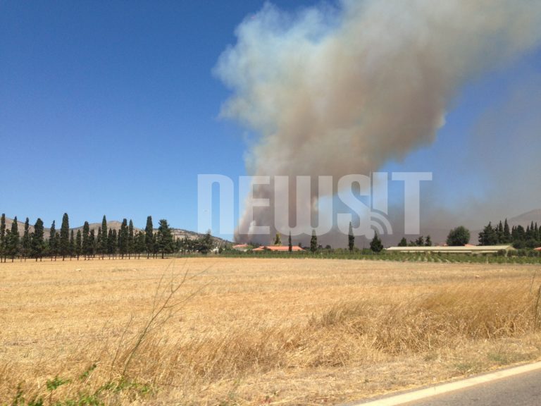 Σε εξέλιξη φωτιά στον οικισμό Αύρα στον Μαραθώνα – Εκκενώνεται η περιοχή – Επιχειρούν ισχυρές δυνάμεις της Πυροσβεστικής | Newsit.gr Σε εξέλιξη φωτιά στον οικισμό Αύρα στον Μαραθώνα – Εκκενώνεται η περιοχή – Επιχειρούν ισχυρές δυνάμεις της Πυροσβεστικής | Newsit.gr