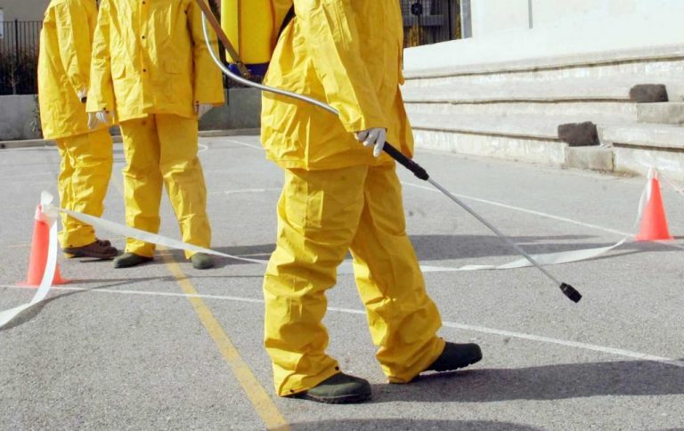Νέες εστίες γρίπης των πτηνών στη Φλώρινα και την Αρκαδία