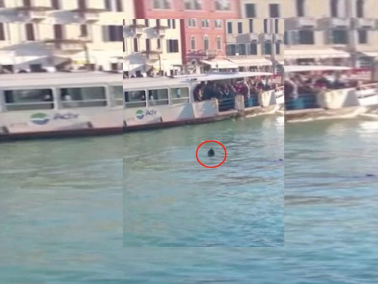 Η νέα ντροπή της Ευρώπης! Τον έβλεπαν να πνίγεται και δεν βούτηξαν να τον βοηθήσουν! | Newsit.gr Η νέα ντροπή της Ευρώπης! Τον έβλεπαν να πνίγεται και δεν βούτηξαν να τον βοηθήσουν! | Newsit.gr
