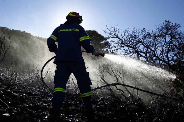 46 πυρκαγιές σε δασικές εκτάσεις το τελευταίο 24ωρο | Newsit.gr 46 πυρκαγιές σε δασικές εκτάσεις το τελευταίο 24ωρο | Newsit.gr