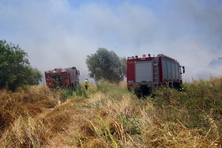 Υπό μερικό έλεγχο η φωτιά στο Στόμιο Ιεράπετρας