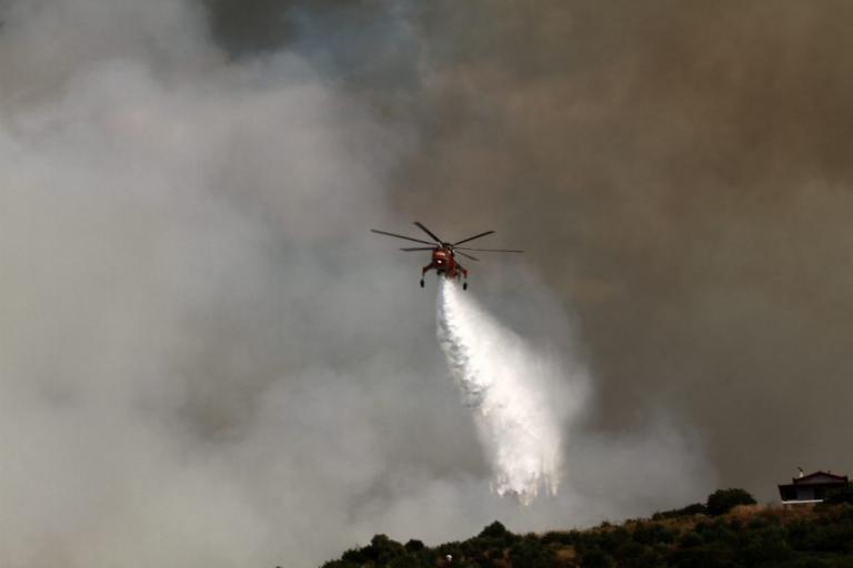 Πρέσπες: Έπιασαν επ’ αυτοφώρω εμπρηστή – Έβαλε 3 φωτιές και κρύφτηκε με τον αναπτήρα στα χέρια! | Newsit.gr Πρέσπες: Έπιασαν επ’ αυτοφώρω εμπρηστή – Έβαλε 3 φωτιές και κρύφτηκε με τον αναπτήρα στα χέρια! | Newsit.gr