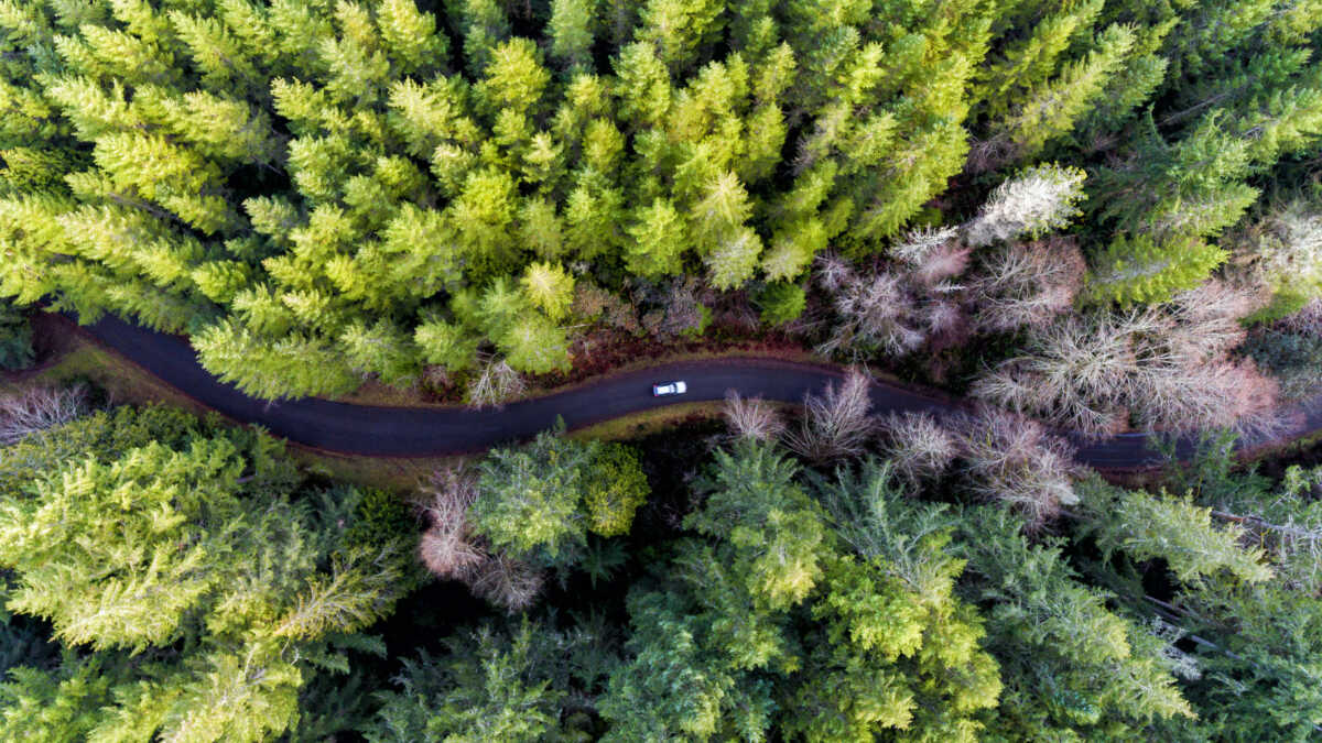 5 ηλεκτρικά αυτοκίνητα που μπορείς να αποκτήσεις με leasing ΚΑΙ επιδότηση!