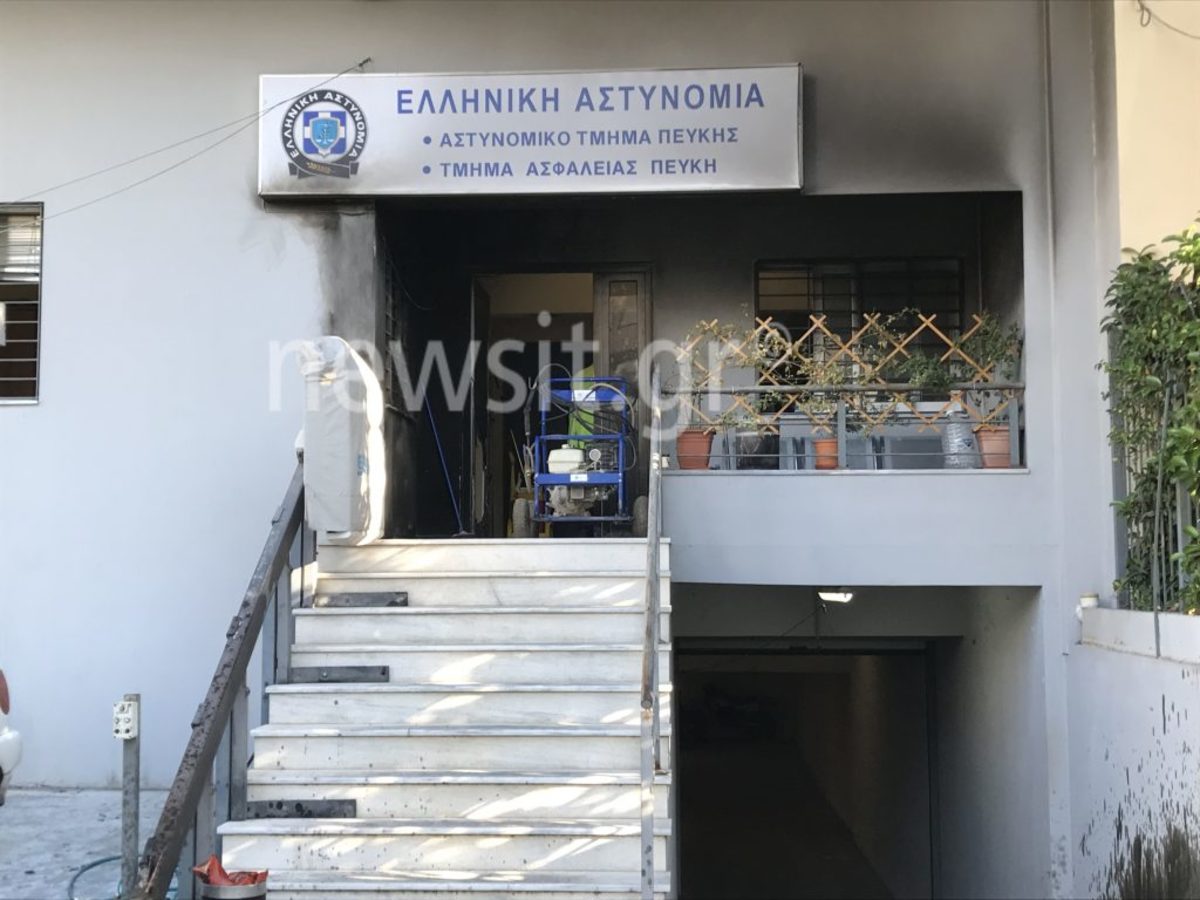 Πεύκη