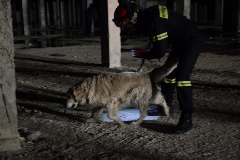 Μαγνησία: Βρέθηκε νεκρός ο κυνηγός που είχε εξαφανιστεί | Newsit.gr Μαγνησία: Βρέθηκε νεκρός ο κυνηγός που είχε εξαφανιστεί | Newsit.gr