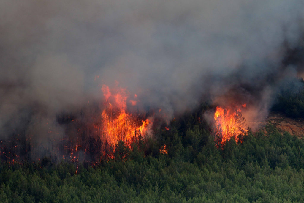 Αλεξανδρούπολη: Έψηνε… παϊδάκια και έβαλε φωτιά σε δάσος