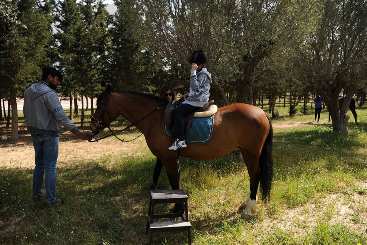Βόλτες με άλογα και διασκεδαστικές δραστηριότητες στο Μαρκόπουλο
