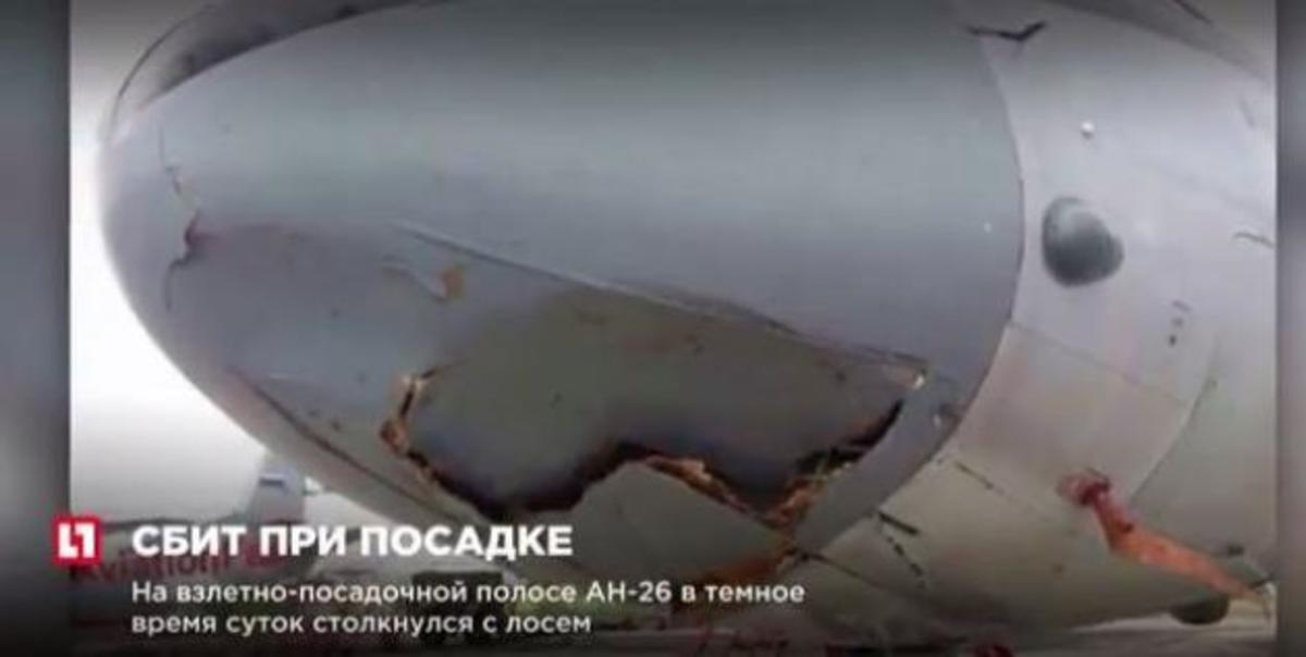 Ρωσικό αεροσκάφος συγκρούστηκε με..ελάφι! [vid]