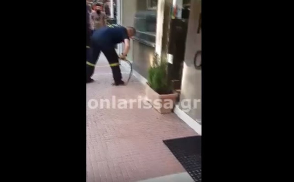 Λάρισα: Πυροσβέστης αποκεφαλίζει φίδι με τα χέρια! [vid]