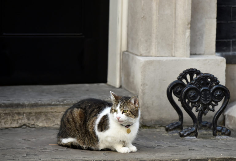 Βρετανία – Ποιες εκλογές; Ο Λάρι ο γάτος το βιολί του! [pics]