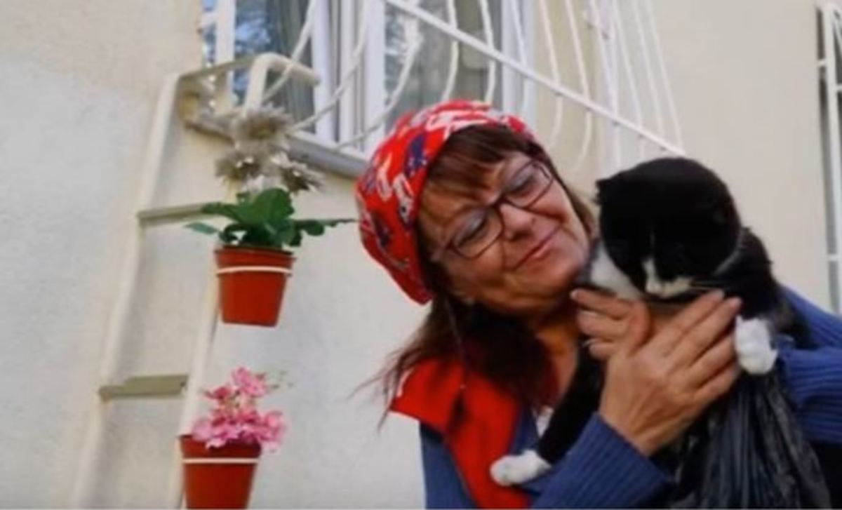 Έκτισε σκάλα στο παράθυρό της για να μην κρυώνουν τα αδέσποτα ζώα της γειτονιάς [vid]