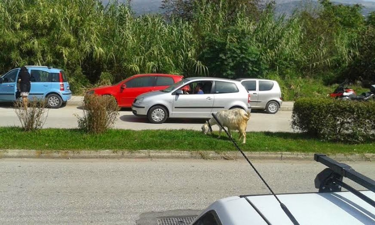 ΦΩΤΟ από epirusgate