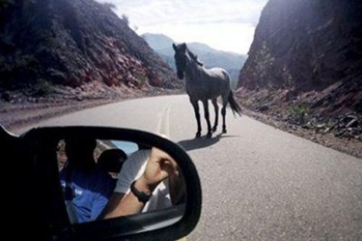 ΦΩΤΟ από prismanews.gr