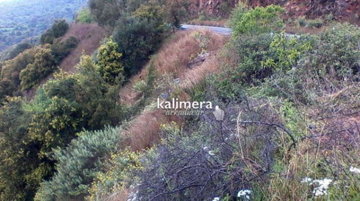 ΦΩΤΟ από kalimera-arkadia.gr