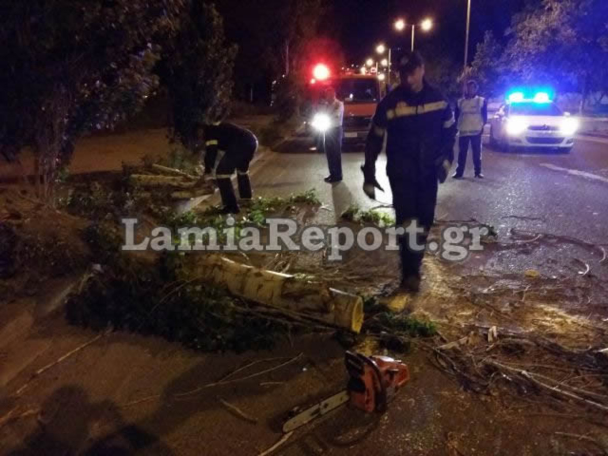 ΦΩΤΟ από lamiareport.gr