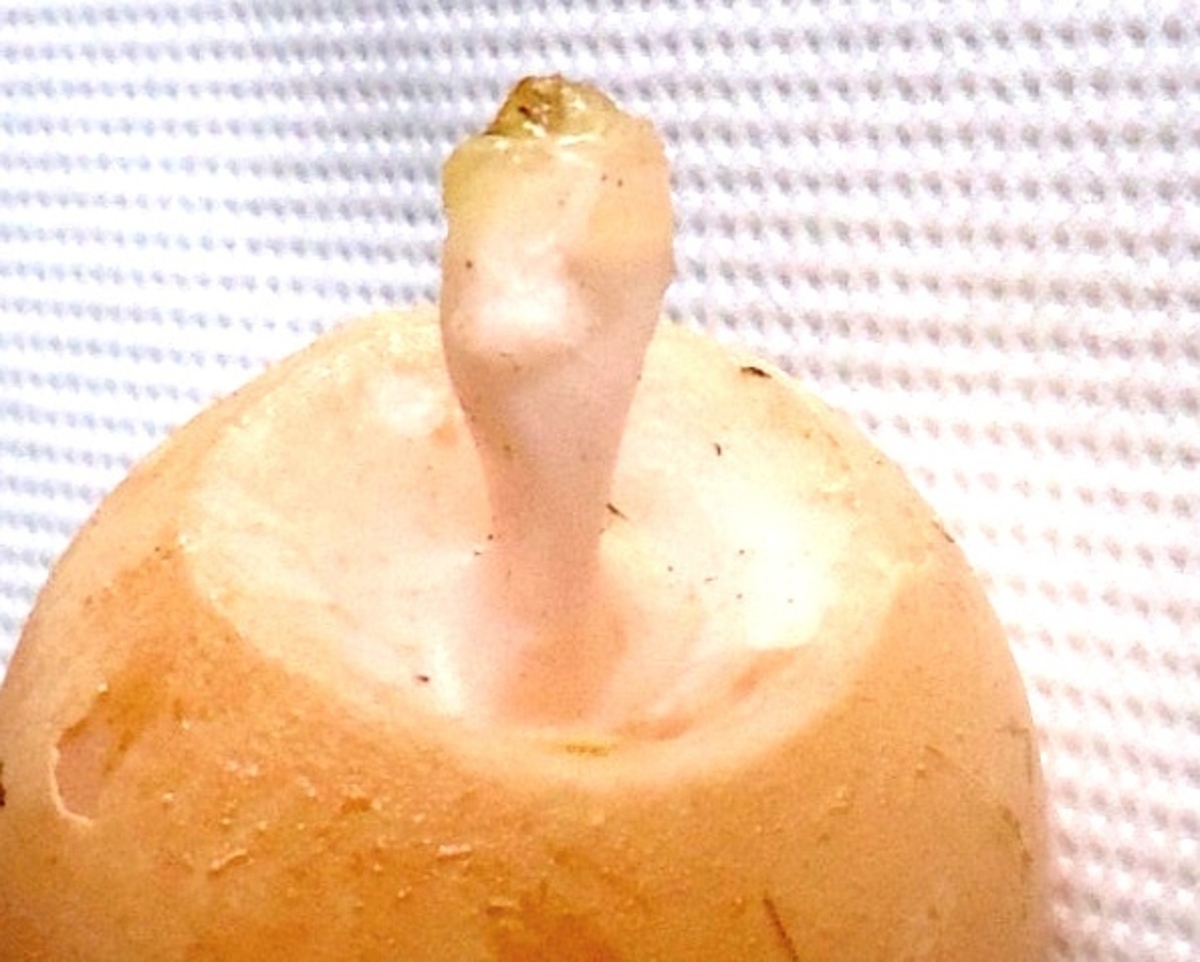 ΦΩΤΟ από ΑΠΕ - ΜΠΕ