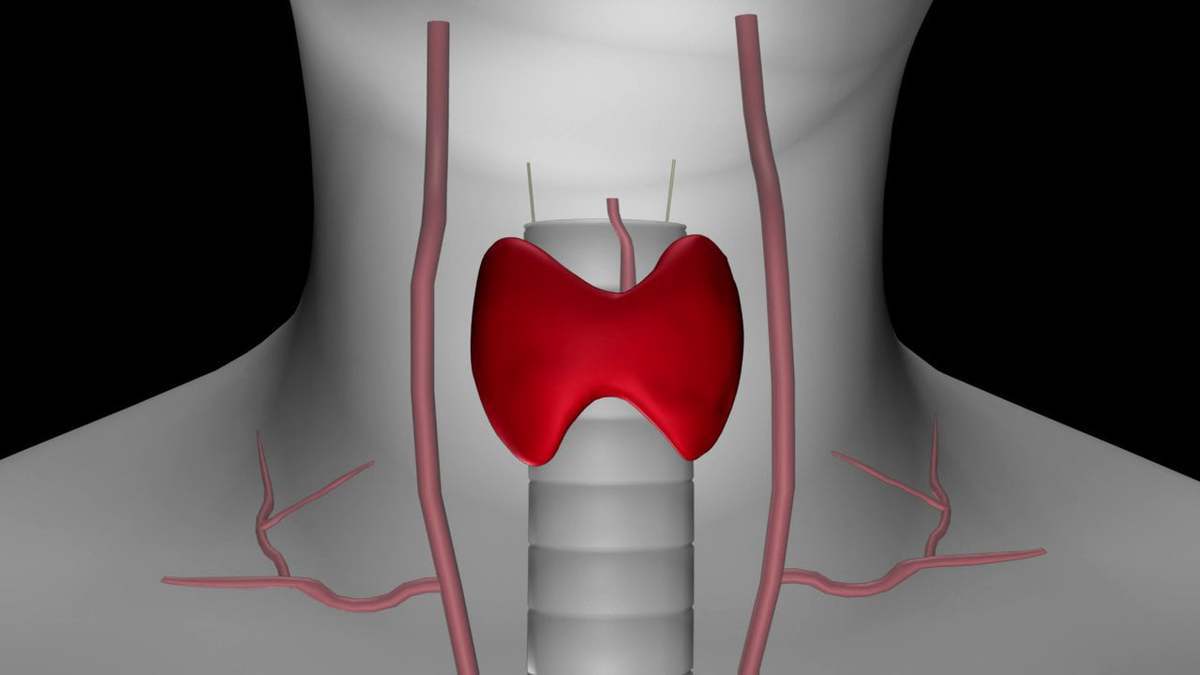 Διαταραχές θυρεοειδούς: Νέα μέθοδος θεραπείας από έρευνα Έλληνα επιστήμονα