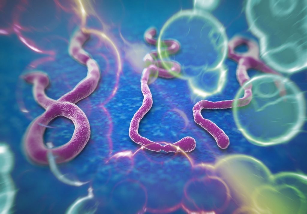 Μας «πάγωσαν» οι ερευνητές: 4 φορές πιο θανατηφόρος είναι πλέον ο ιός Εμπόλα!