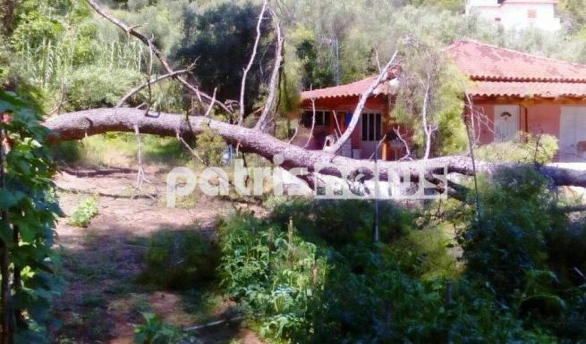 ΦΩΤΟ από patrisnews.com