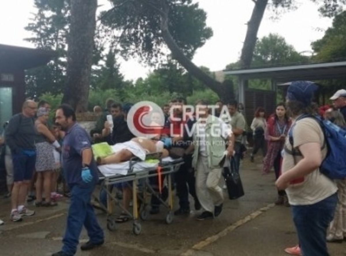 ΦΩΤΟ από cretalive.gr