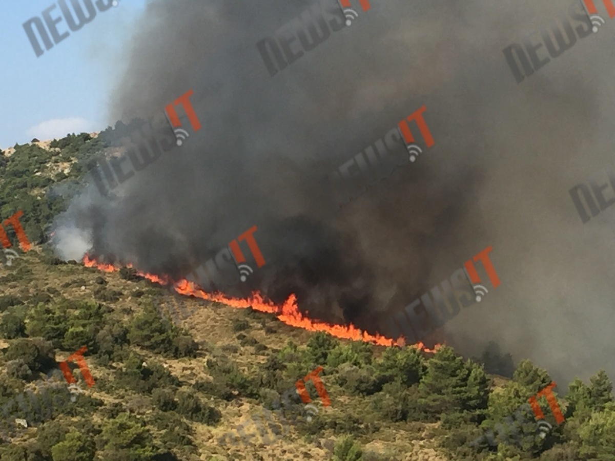 Μάχη με τις φλόγες και τα μποφόρ στα Δερβενοχώρια – Πολλά και διάσπαρτα τα πύρινα μέτωπα στο βουνό – Ηρωική προσπάθεια από τους πυροσβέστες