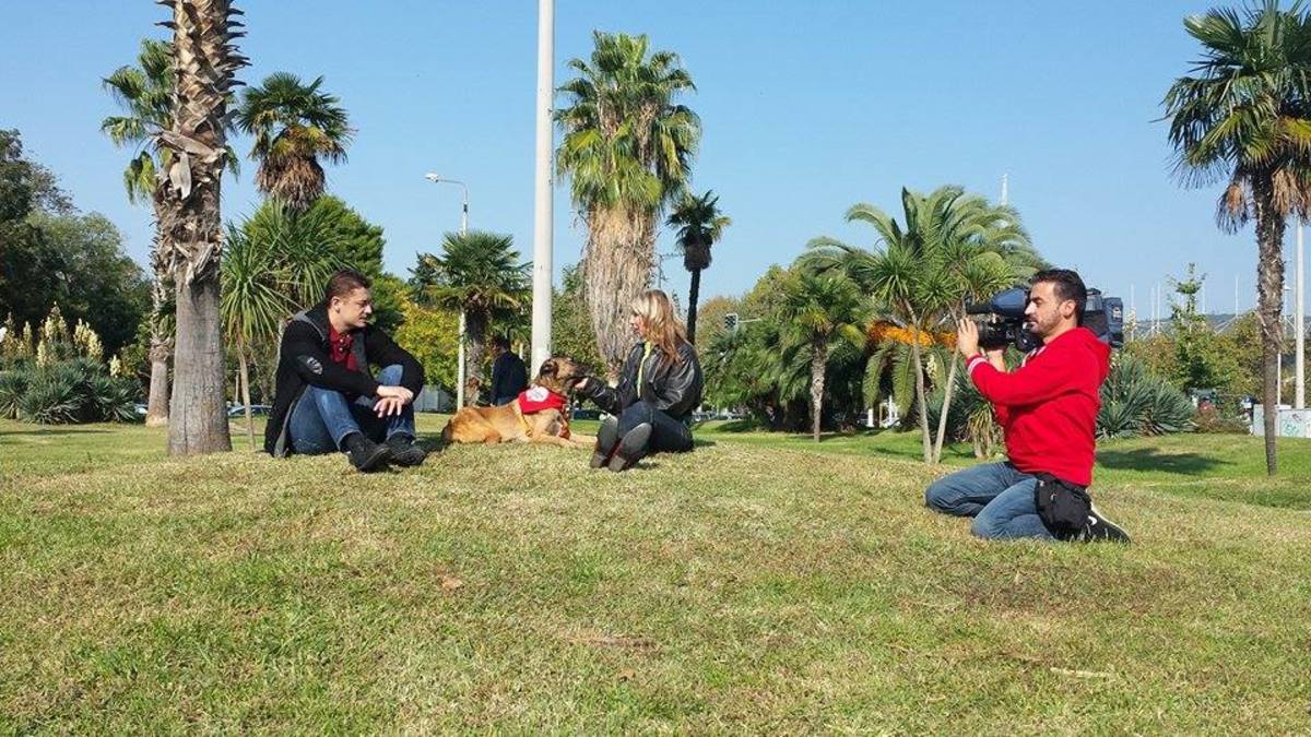 Η κακοποίηση ζώων και οι κυνομαχίες στη χώρα μας