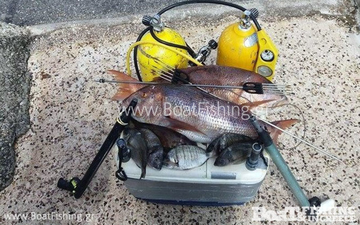 ΦΩΤΟ από boatfishing.gr