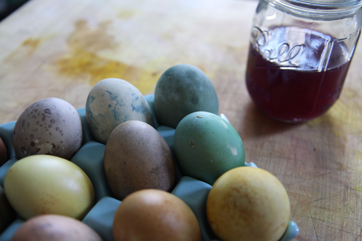 Πάσχα: Βάψιμο αυγών με φυσικά υλικά