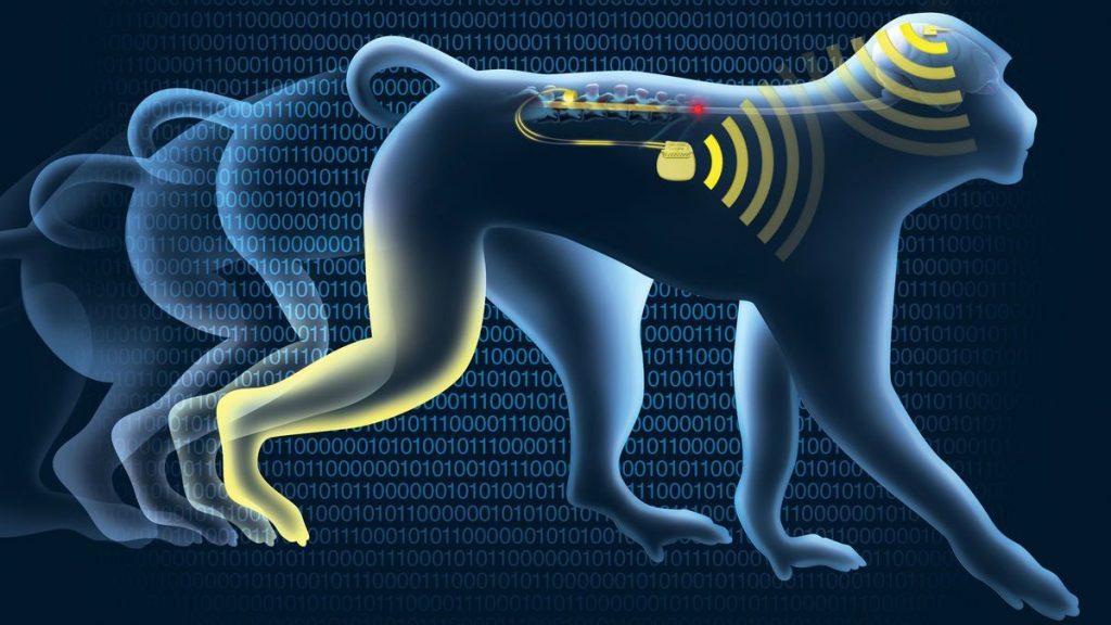Εγκεφαλικό εμφύτευμα “wi-fi” αντιστρέφει την παράλυση των άκρων – Δείτε το ιστορικό επίτευγμα! [vid, pics]