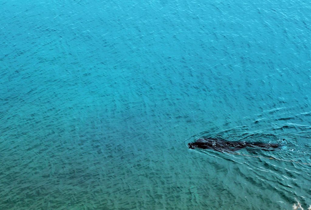 ΦΩΤΟ AΡΧΕΙΟΥ EUROKINISSI