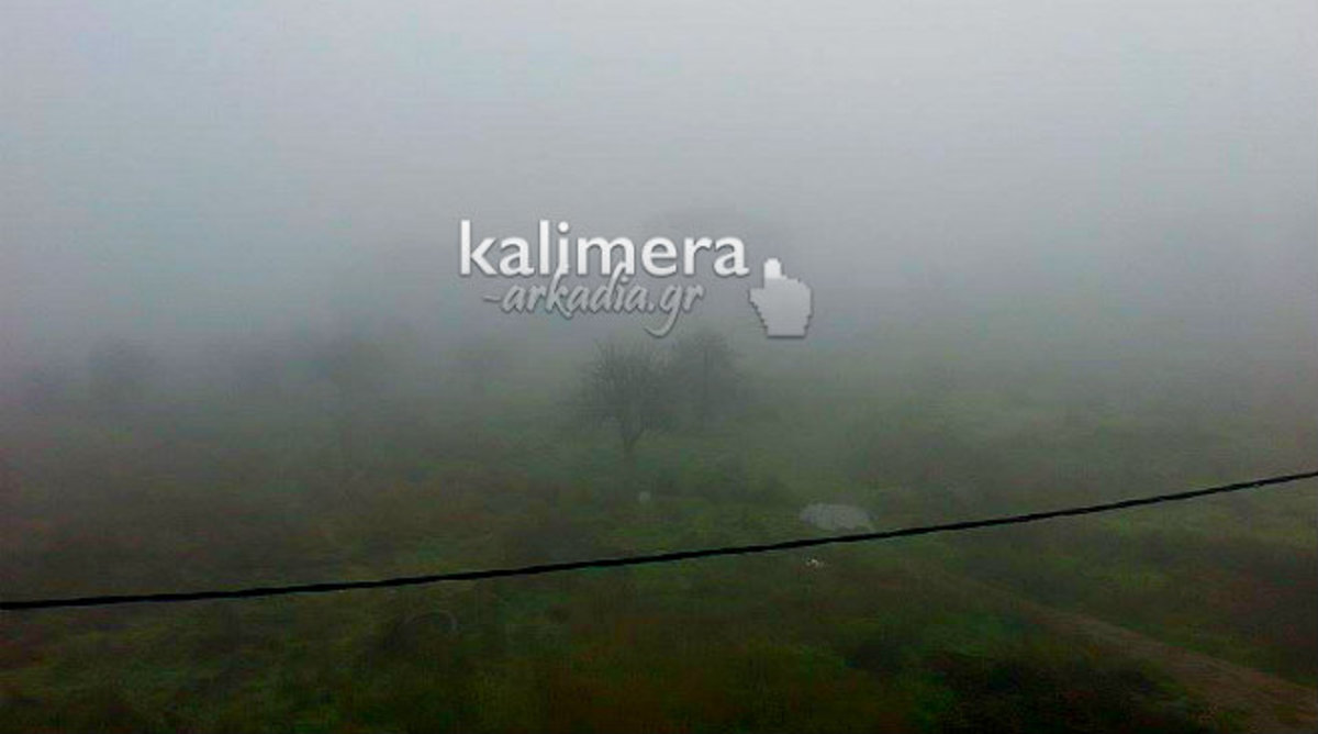 ΦΩΤΟ από το kalimera-arkadia.gr