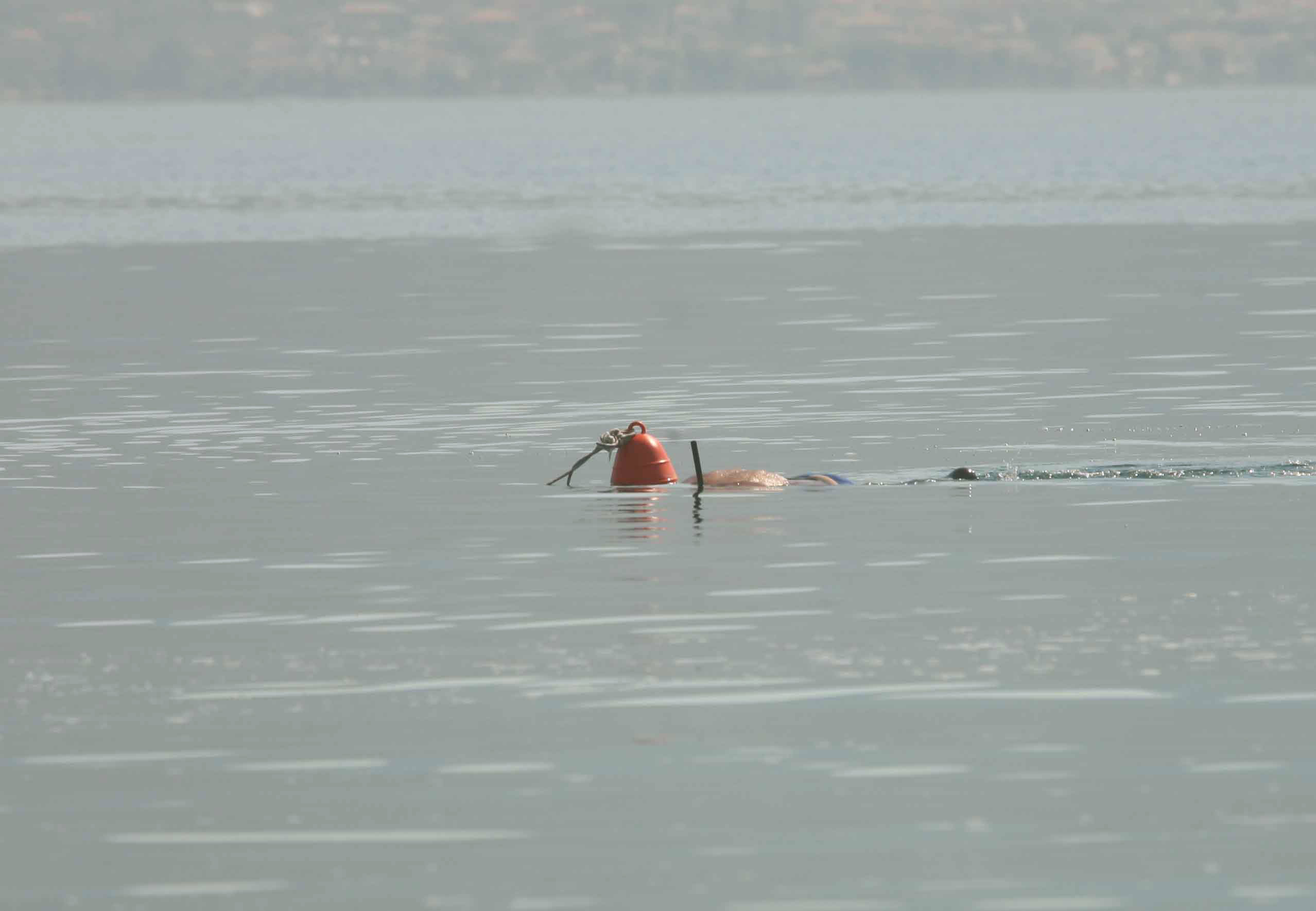 ΦΩΤΟ EUROKINISSI