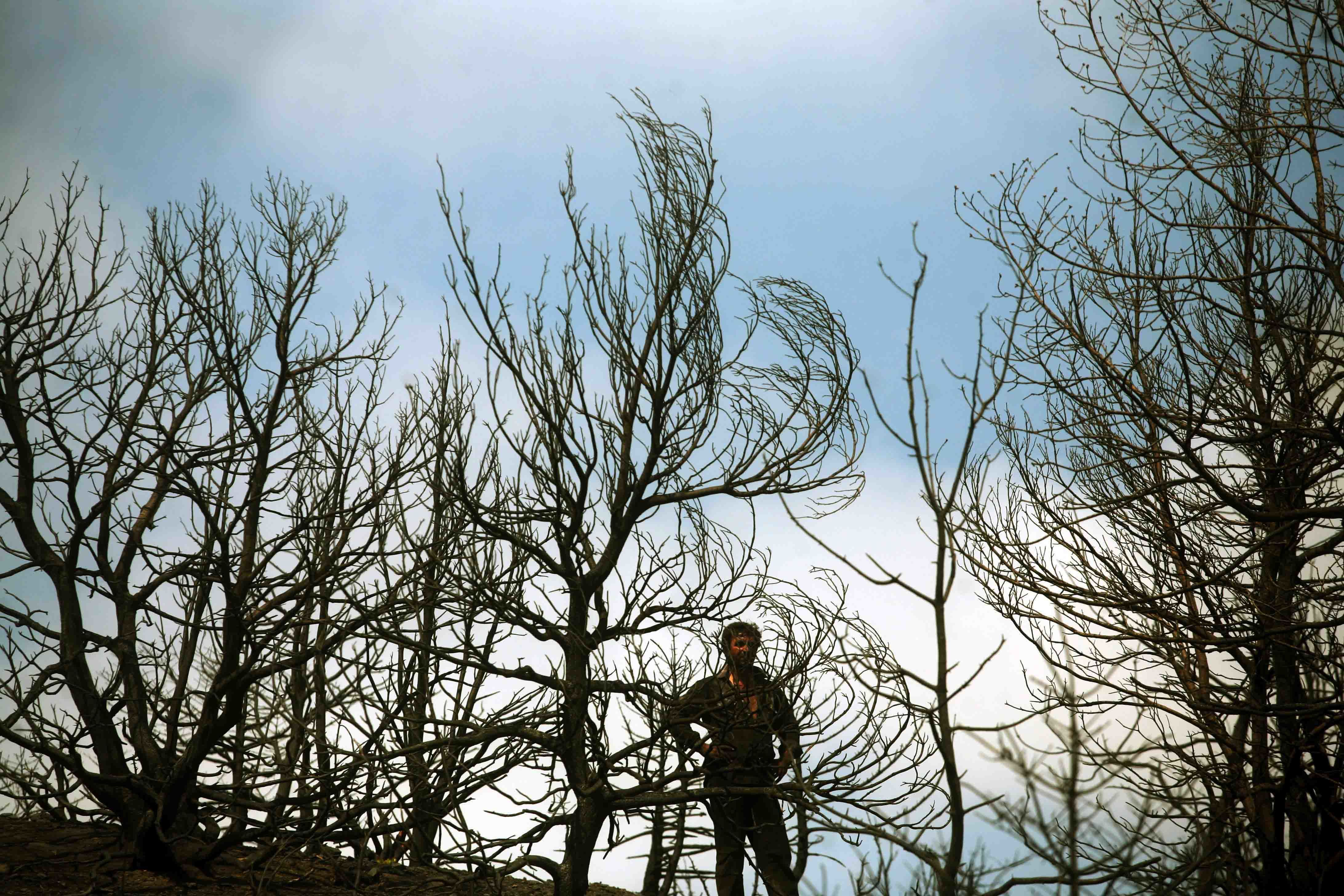 ΦΩΤΟ EUROKINISSI