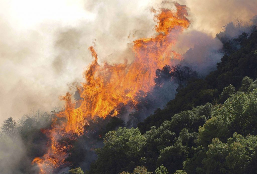 Υπό μερικό έλεγχο οι πυρκαγιές σε Ζάκυνθο και Κέρκυρα