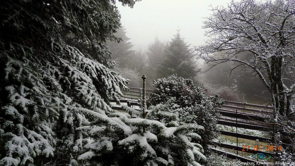 ΦΩΤΟ από eviagreen.gr