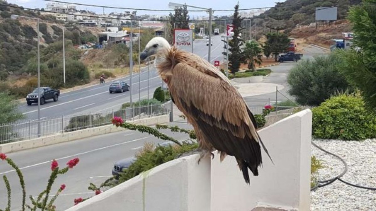 ΦΩΤΟ από το CretaPost