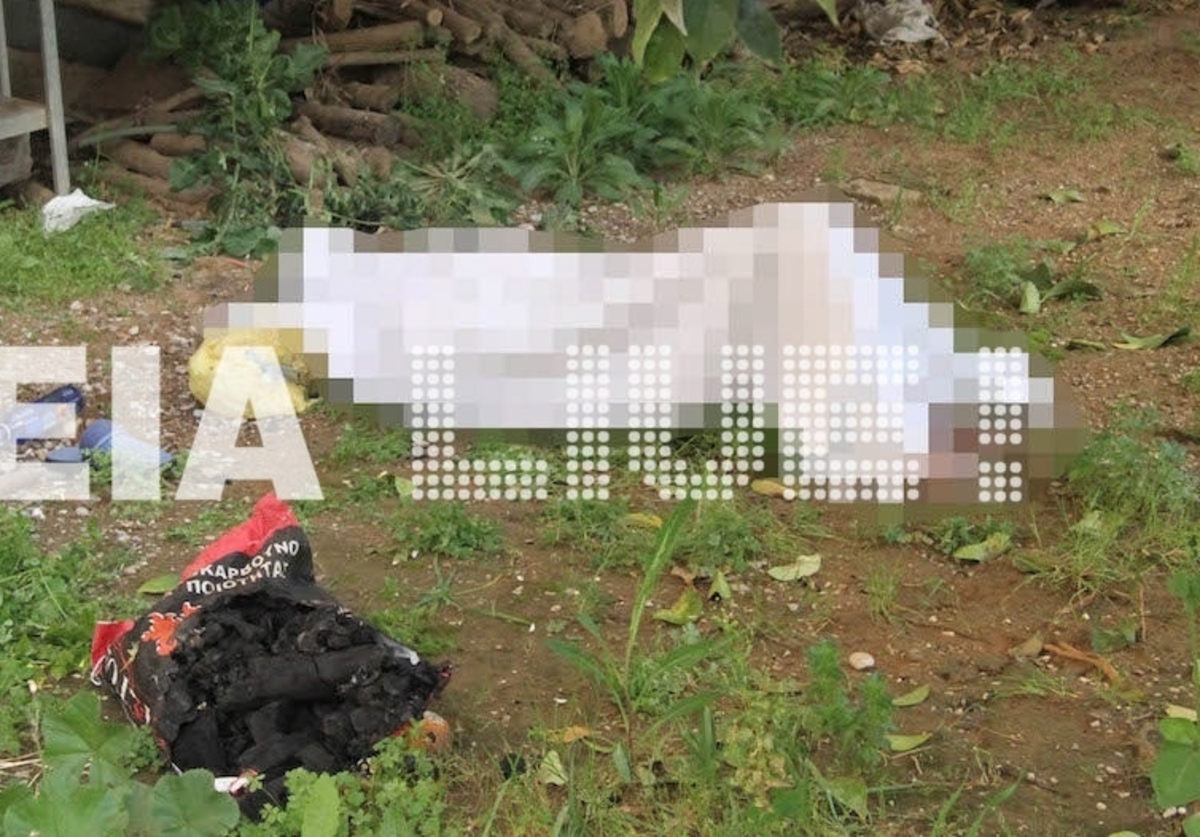 ΦΩΤΟ από ilialive.gr