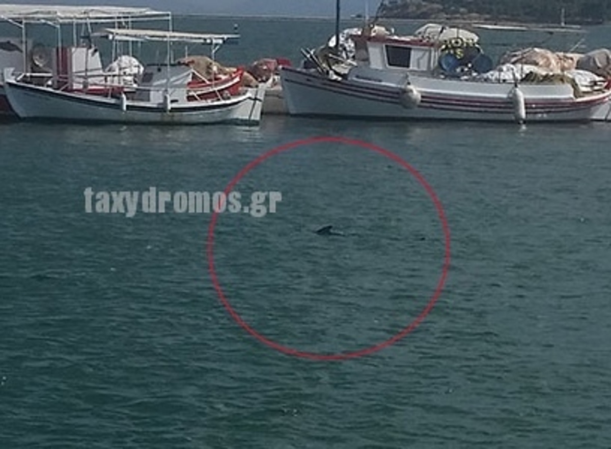 ΦΩΤΟ από taxydromos.gr