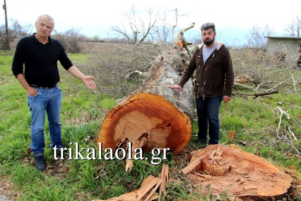 ΦΩΤΟ από trikalaola.gr