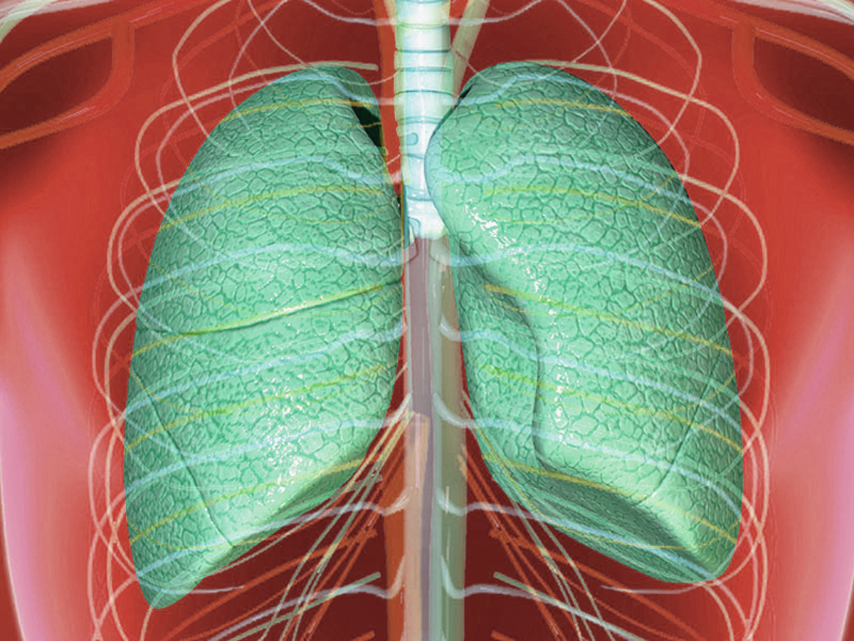 Παγκόσμια Ημέρα Πνευμονίας: Πότε το “αθώο” κρυολόγημα εξελίσσεται σε πνευμονία