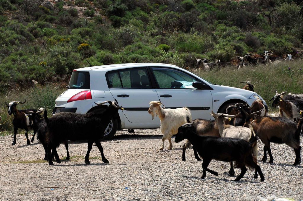 ΦΩΤΟ EUROKINISSI