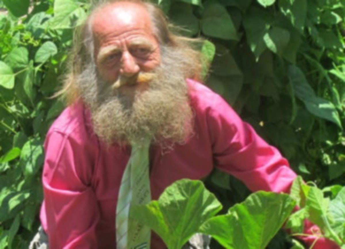 ΦΩΤΟ από cretalive.gr