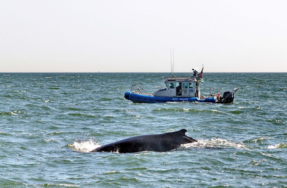 ΦΩΤΟ ΑΡΧΕΙΟΥ EUROKINISSI