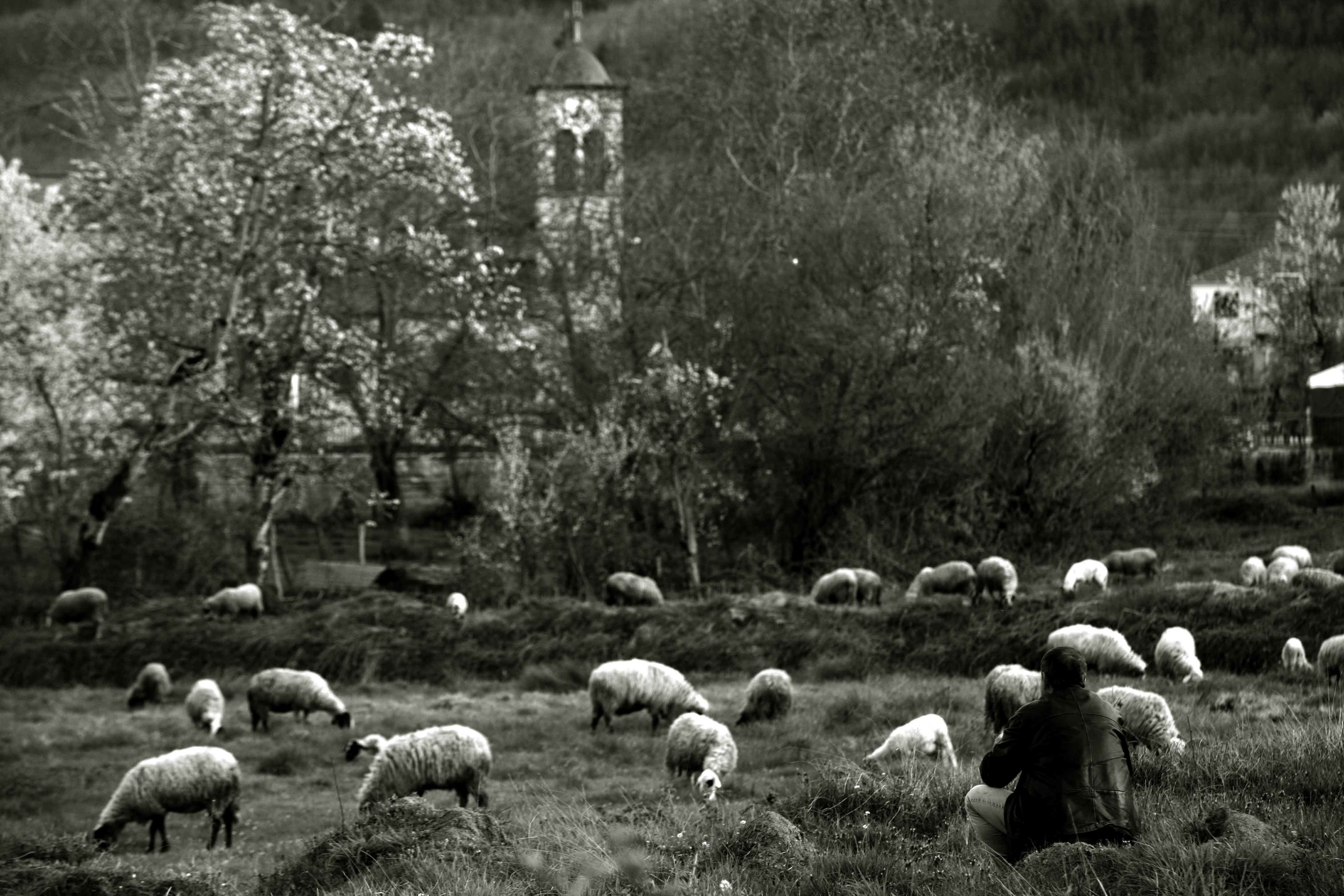 ΦΩΤΟ ΑΡΧΕΙΟΥ EUROKINISSI