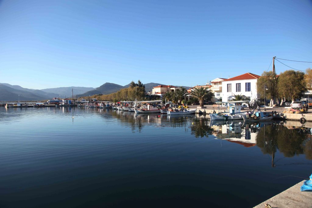 Ξεσηκωμός στην Λέσβο – Να μην κλείσει η ΔΟΥ Καλλονής